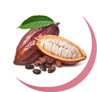 THEOBROMINE