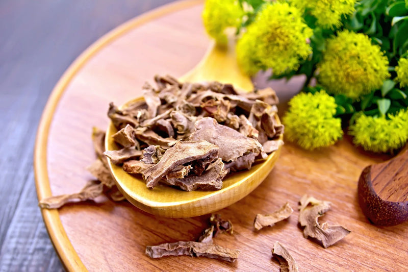 RHODIOLA HELPS YOU STAY SHARP UNDER PRESSURE