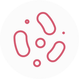 Myo-Inositol