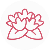 Rhodiola Rosea