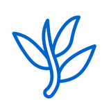 L-Theanine