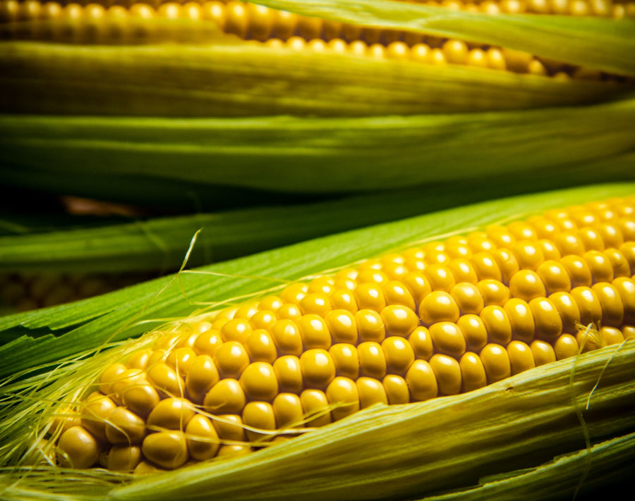 Maizinol® is the ingredient doing the actual work