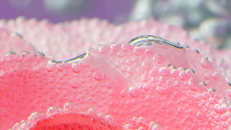YOUR SKIN BARRIER IS PROBABLY COMPROMISED