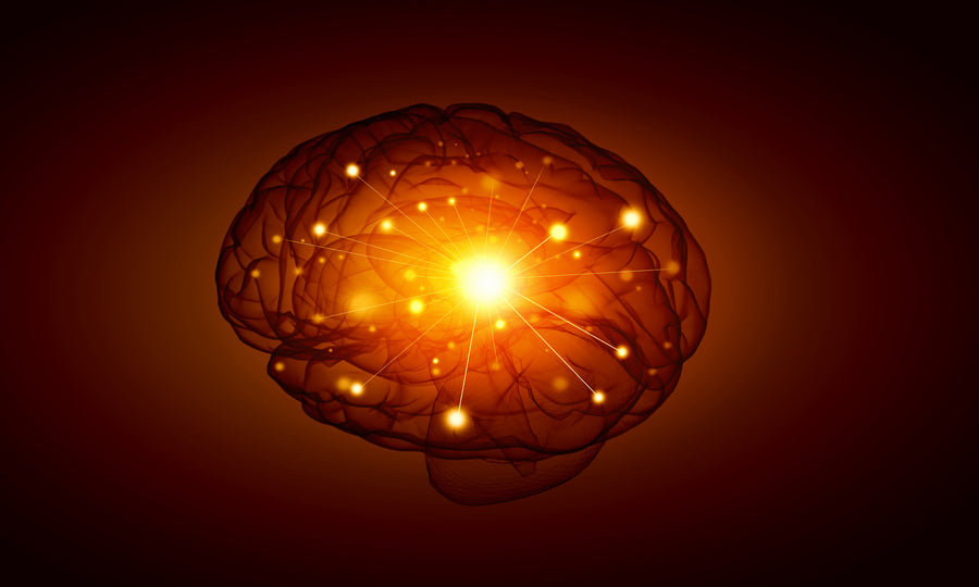 Day 7: more choline where you want it