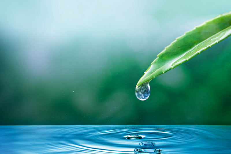 HYALURONIC ACID: THE MOISTURE YOUR SKIN IS MISSING