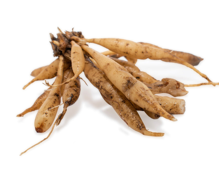 The ingredient with the research is shatavari